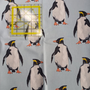 Bird - Artic Penguins on Blue