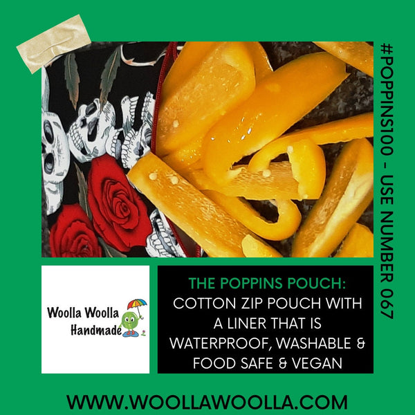 Large Waterproof Lined Pouch: Food Storage, Toiletry, Craft Box