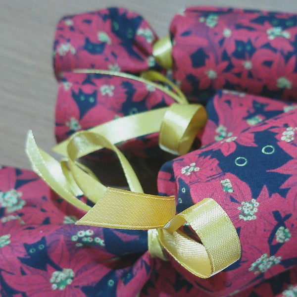 Reusable Christmas Cracker, Eco Friendly Sustainable Festive Table Decor, Refillable Zero Waste Holiday Gift Idea - Poinsettia Cat