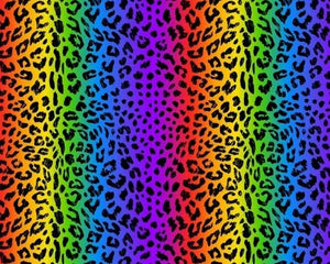 Rainbow - Leopard Print (Due To Arrive 12th August)