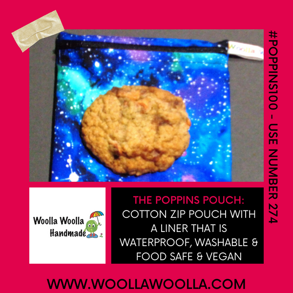 Otter Stripe -  Medium Poppins Pouch Reusable Washable Sandwich Bag - Vegan Alternative to Wax Wrap
